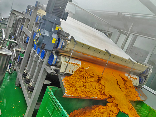 帶式果（guǒ）蔬壓榨機-濟南胡蘿卜壓榨