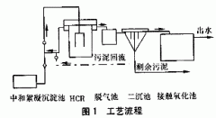農村小型（xíng）汙水處理（lǐ）設備|HCR反應器處理味精廠廢水（shuǐ）